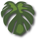 Leaf Icon