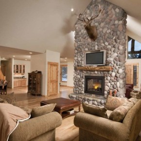 Napoleon Ascent Multi-View Gas Fireplace