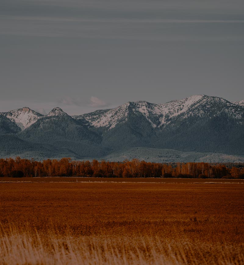 Montana