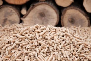 Comparing Wood-Burning Stoves and Pellet Stoves