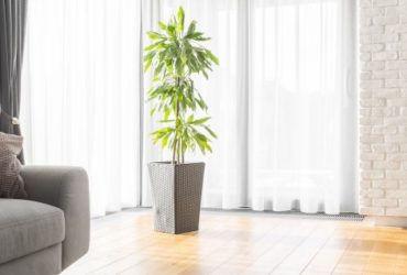 Fireplaces Boost Home Value & Offer Incentives