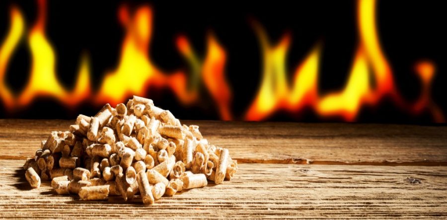 Which Fireplace Fuel is Right for You?