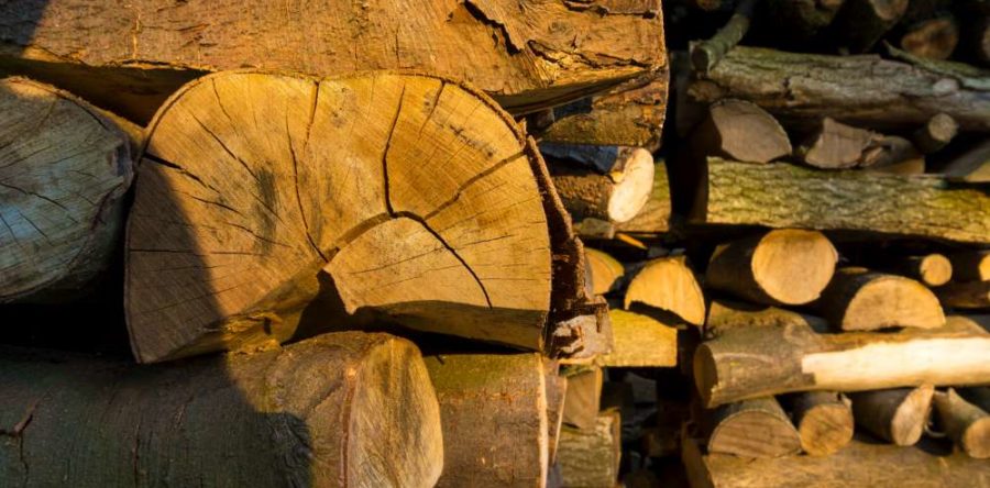 What is the Best Kind of Wood to Burn