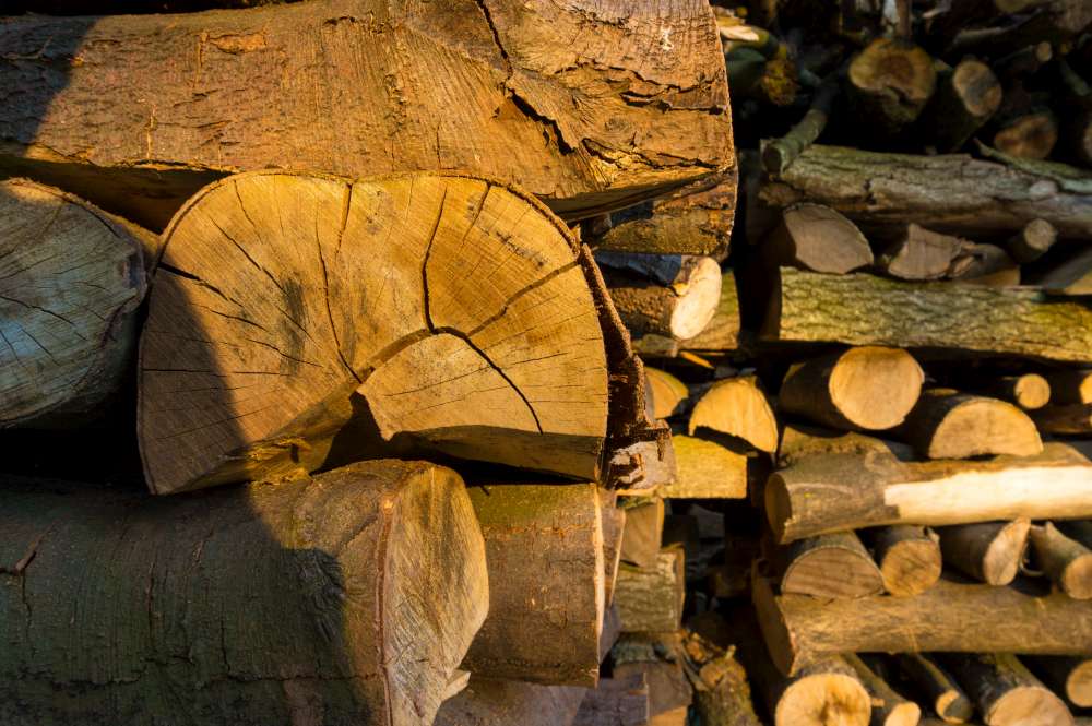 Dry seasoned wood has cracks in the ends