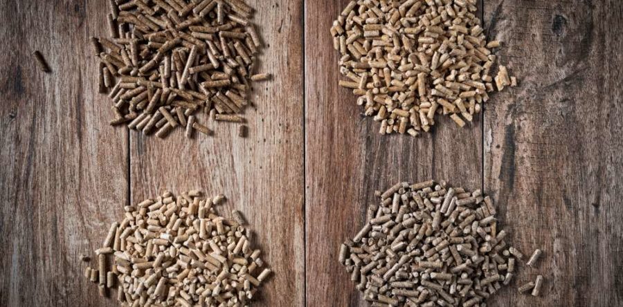 Six Facts About Pellets