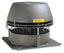 Enervex Chimney Cap