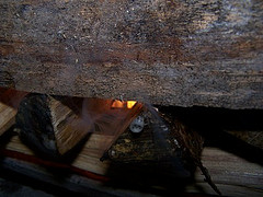 Wet Wood