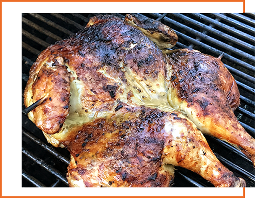Chicken Thigh and Drumsticks
