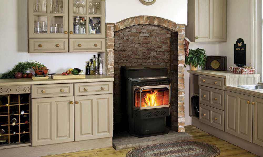 Napoleon NPS45 Fireplace