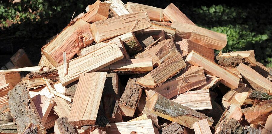 What’s The Best Type Of Wood To Burn?