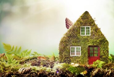 Which fireplace is best for the environment?