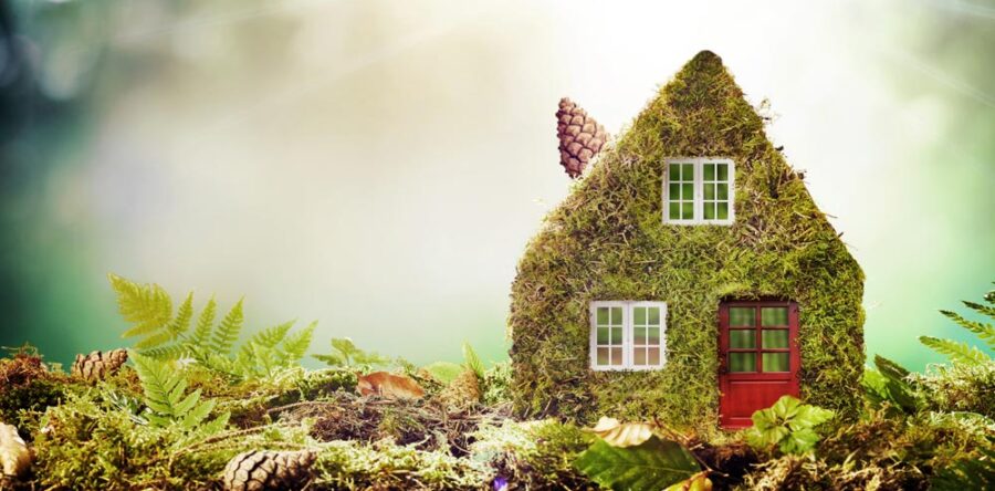 Which fireplace is best for the environment?