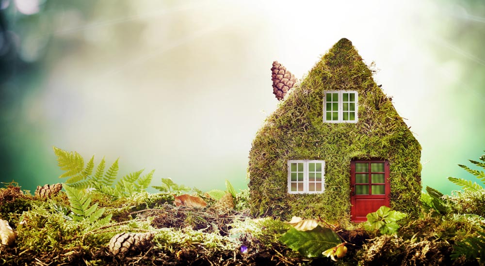 Which fireplace is best for the environment?