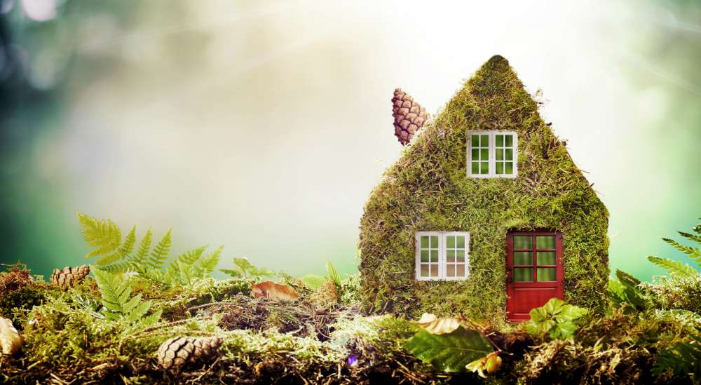 Is burning wood pellets good? Why burn wood pellets?