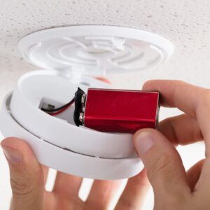First Fire, Fresh Batteries in Fire detector