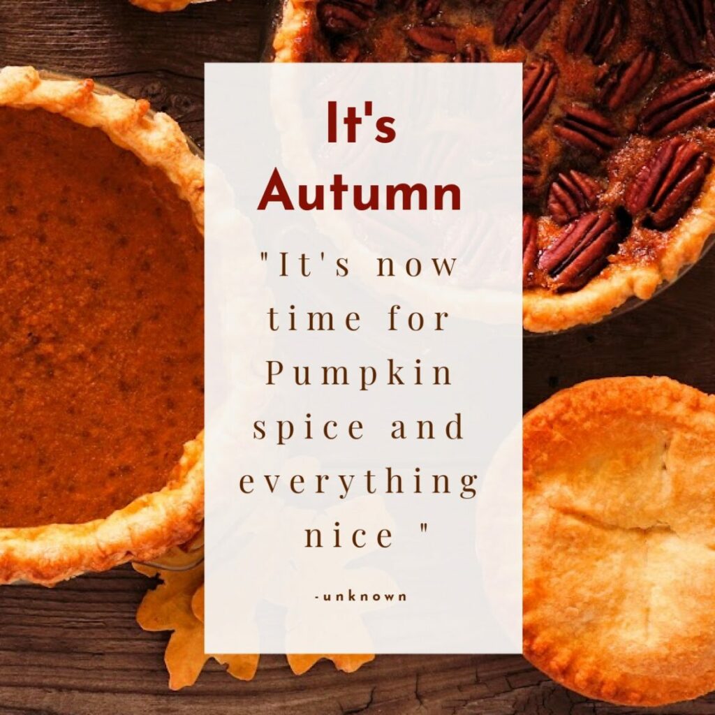 It's now time for Pumpkin spice and everything nice
