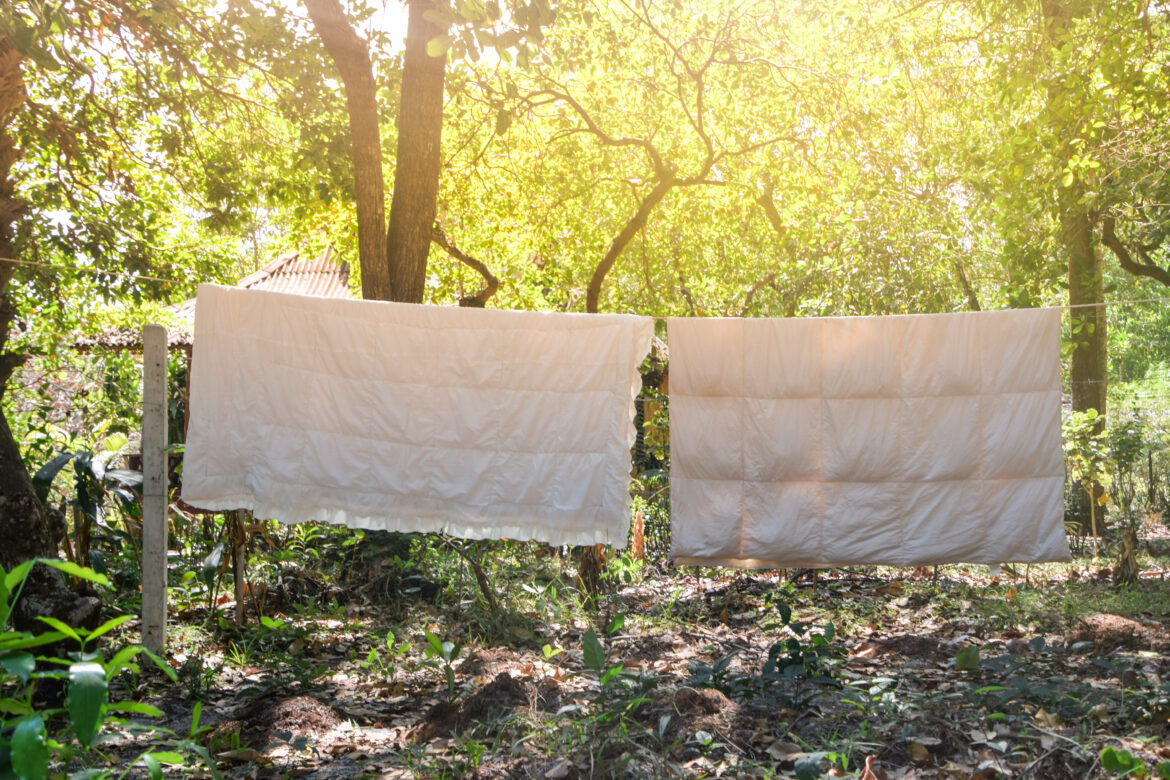 Get Your Home Ready for Spring 2025: The Ultimate Spring Cleaning Checklist